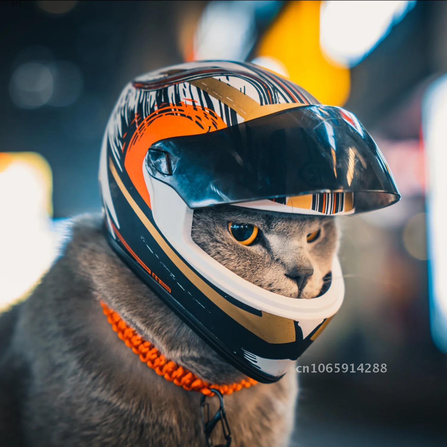 Motorcycle Gear Dogs - Fotorekwizyty: Kaski dla zwierząt, kask dla
