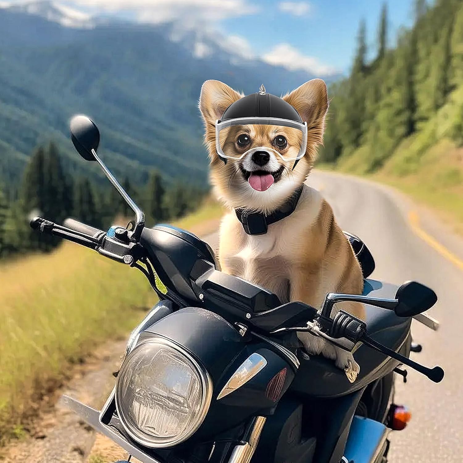 Motorcycle Gear Dogs - Kask dla małego psa, kask motocyklowy