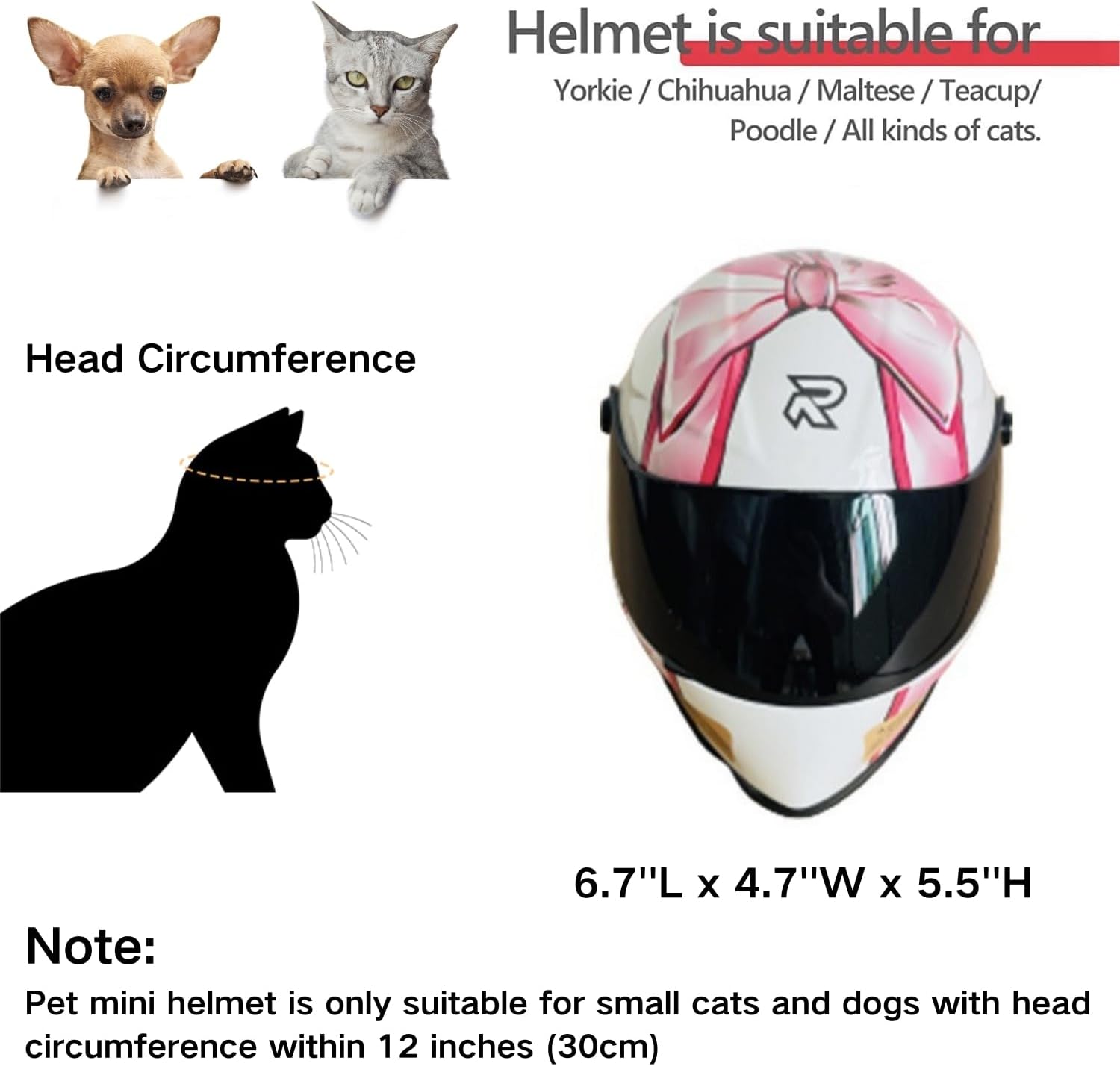 Kask motocyklowy dla kota, peł – Motorcycle Gear Dogs recenzja i cena