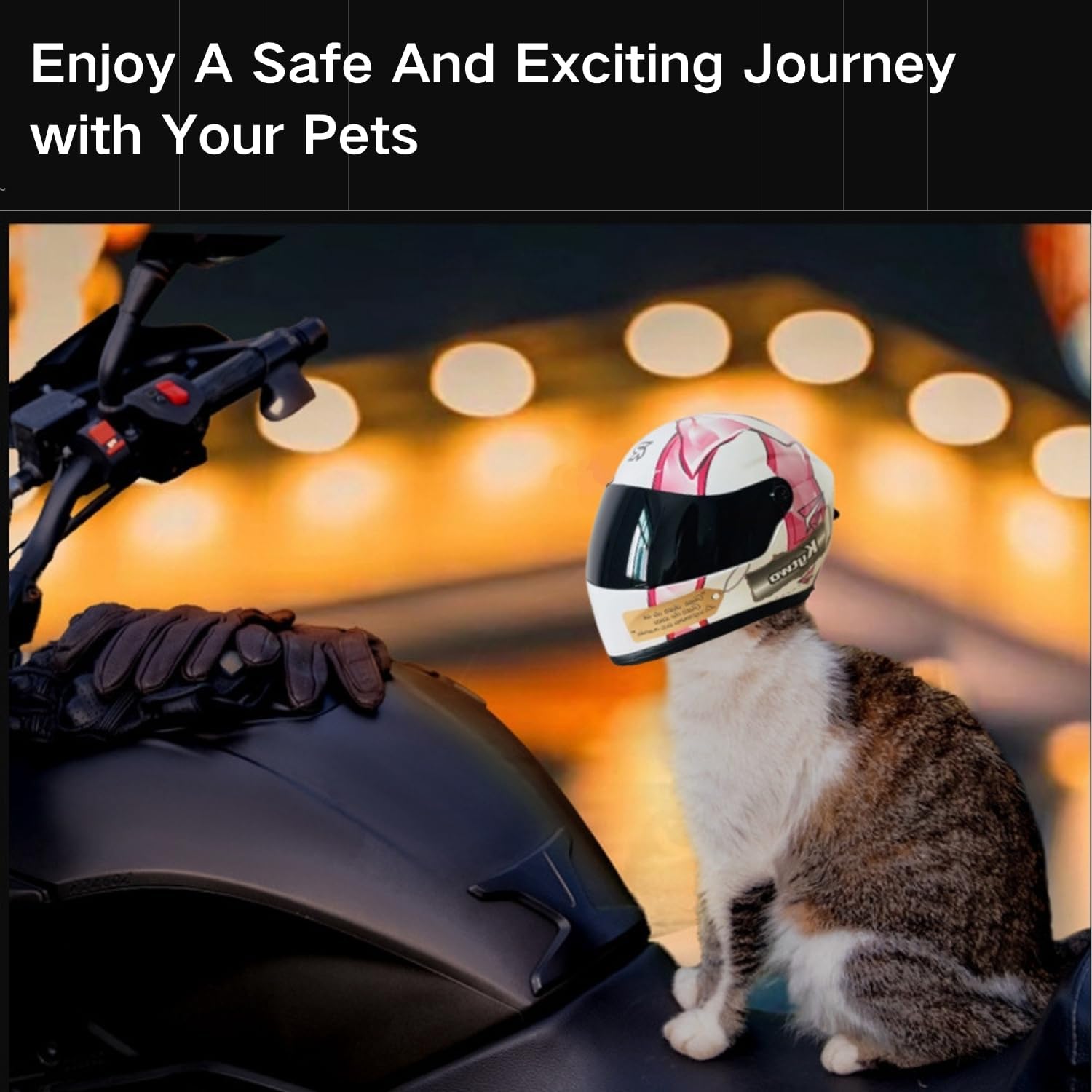 Kask motocyklowy dla kota, peł – Motorcycle Gear Dogs recenzja i cena
