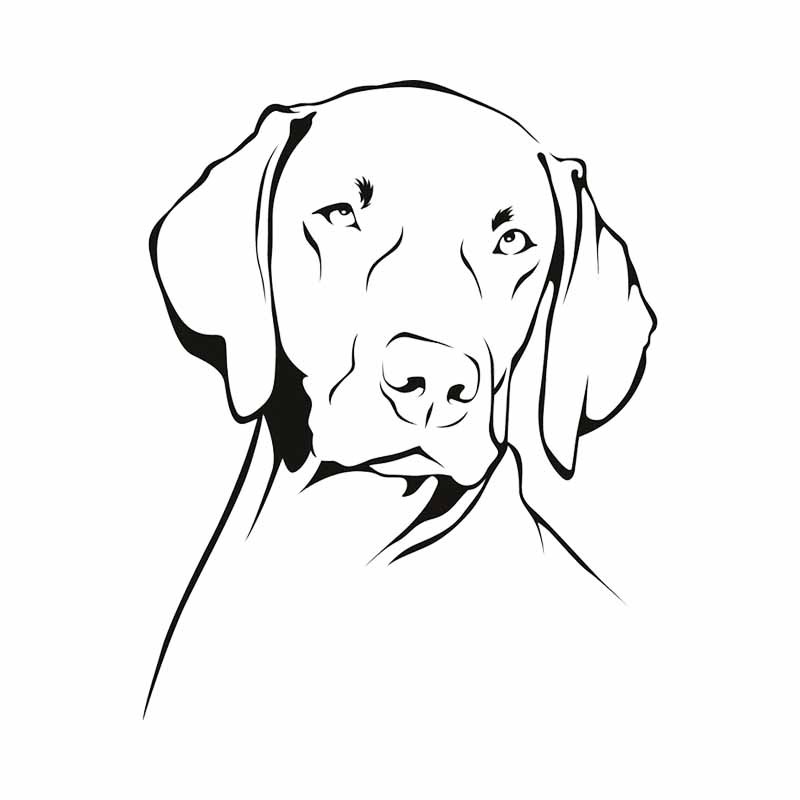 Wodoodporna naklejka z winylu  – Motorcycle Gear Dogs recenzja i cena