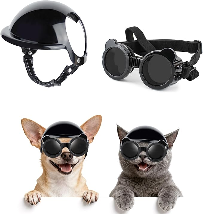 Kask motocyklowy dla kota, wod – Motorcycle Gear Dogs recenzja i cena