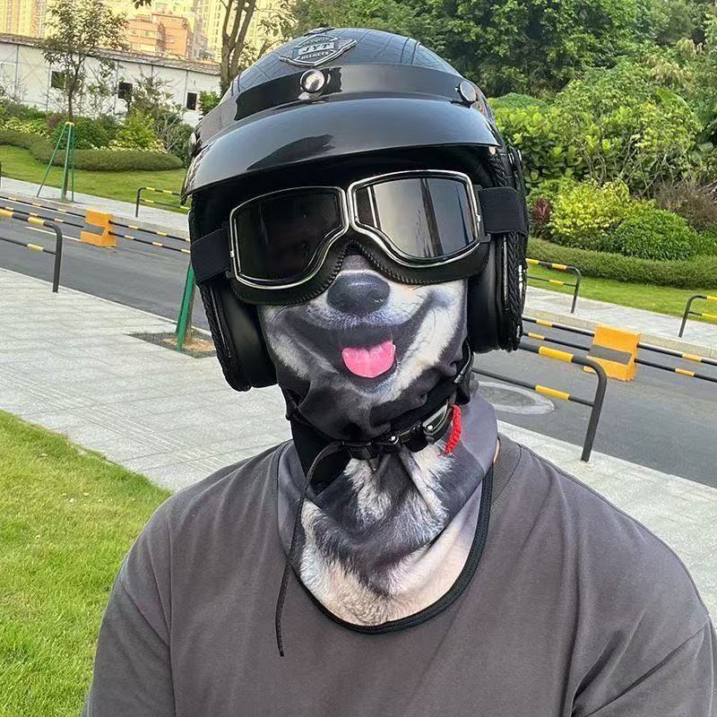 3d Kot Pies Śliczne Zwierzę Ko – Motorcycle Gear Dogs recenzja i cena