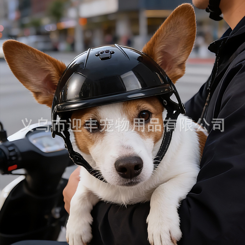 Różowy kask motocyklowy dla zw – Motorcycle Gear Dogs recenzja i cena