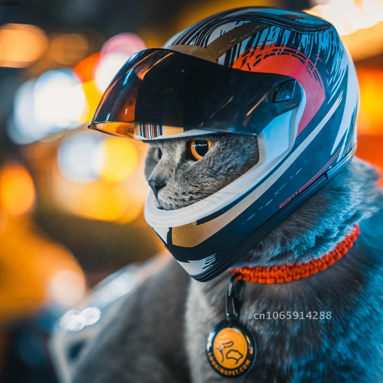 Fotorekwizyty: Kaski dla zwier – Motorcycle Gear Dogs recenzja i cena