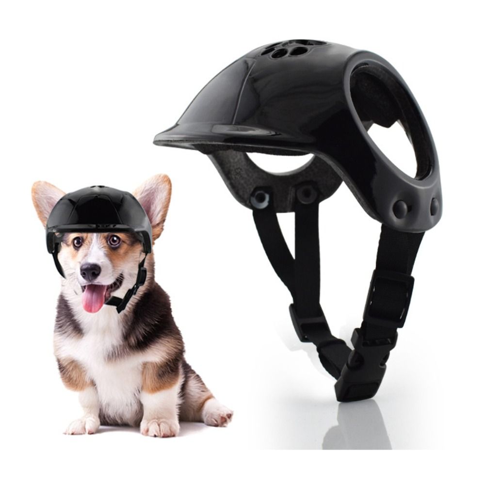 Plastikowe kaski dla psów z ot – Motorcycle Gear Dogs recenzja i cena