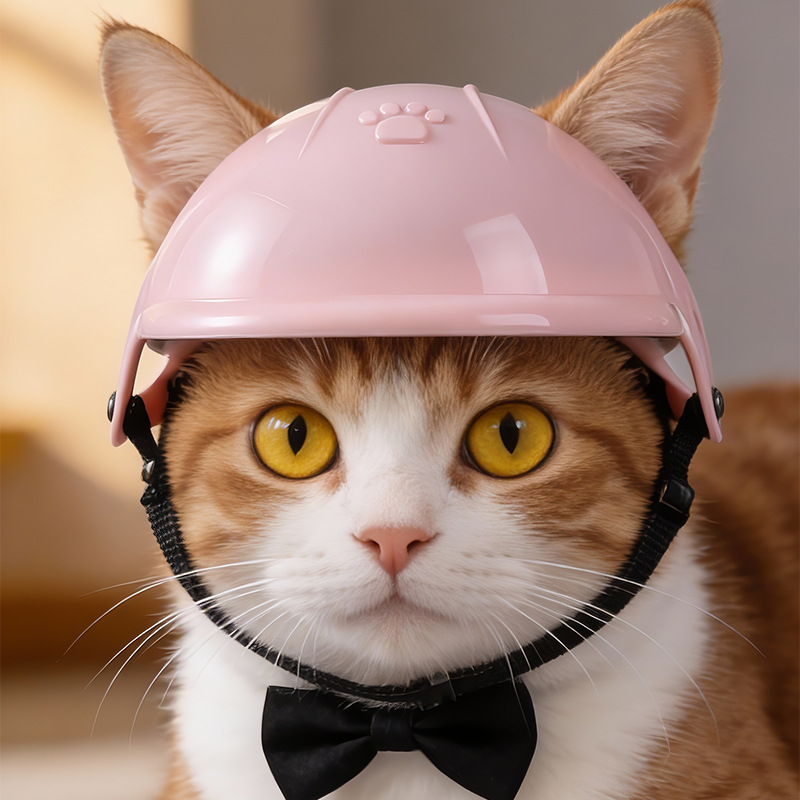 Mini kask motocyklowy dla zwie – Motorcycle Gear Dogs recenzja i cena