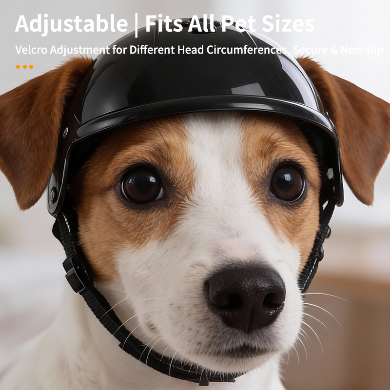 1 szt. Uroczy kask 3D w kształ – Motorcycle Gear Dogs recenzja i cena
